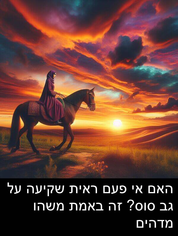 באמת: האם אי פעם ראית שקיעה על גב סוס? זה באמת משהו מדהים