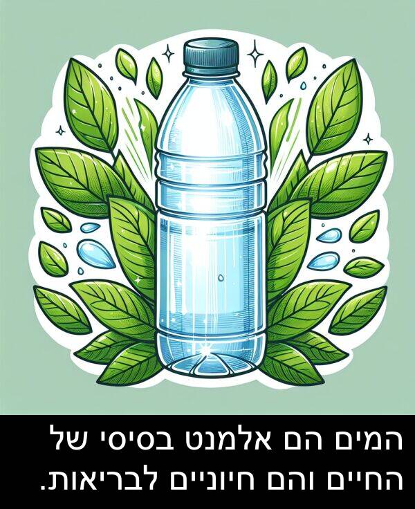 חיוניים: המים הם אלמנט בסיסי של החיים והם חיוניים לבריאות.
