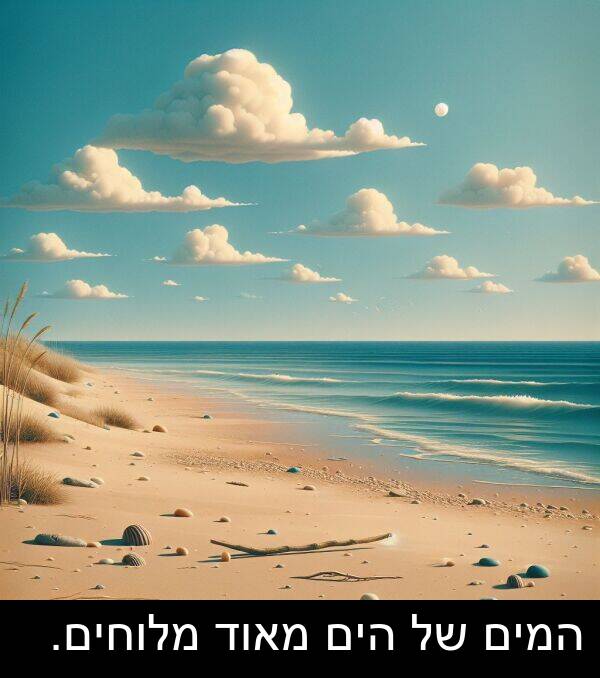 המים: המים של הים מאוד מלוחים.