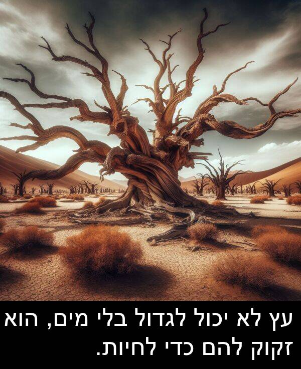 זקוק: עץ לא יכול לגדול בלי מים, הוא זקוק להם כדי לחיות.
