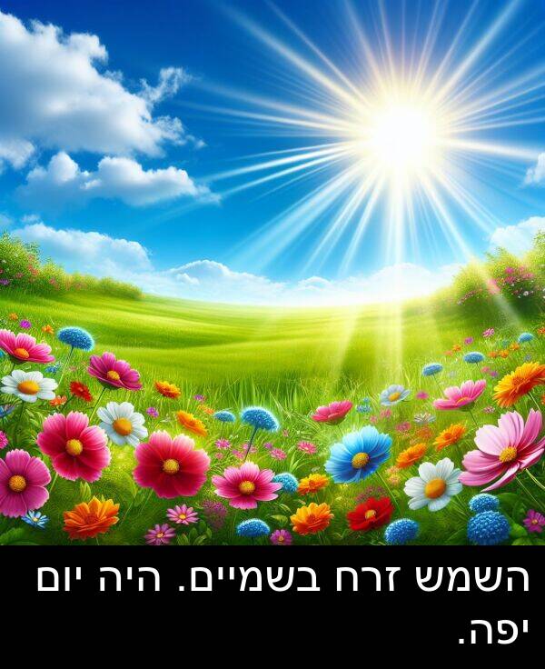 זרח: השמש זרח בשמיים. היה יום יפה.