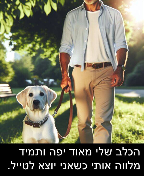 יוצא: הכלב שלי מאוד יפה ותמיד מלווה אותי כשאני יוצא לטייל.