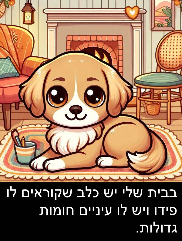 פידו: בבית שלי יש כלב שקוראים לו פידו ויש לו עיניים חומות גדולות.