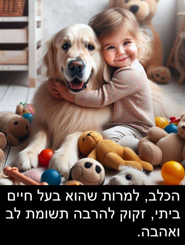 זקוק: הכלב, למרות שהוא בעל חיים ביתי, זקוק להרבה תשומת לב ואהבה.