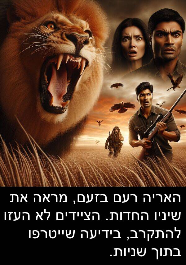 בזעם: האריה רעם בזעם, מראה את שיניו החדות. הציידים לא העזו להתקרב, בידיעה שייטרפו בתוך שניות.