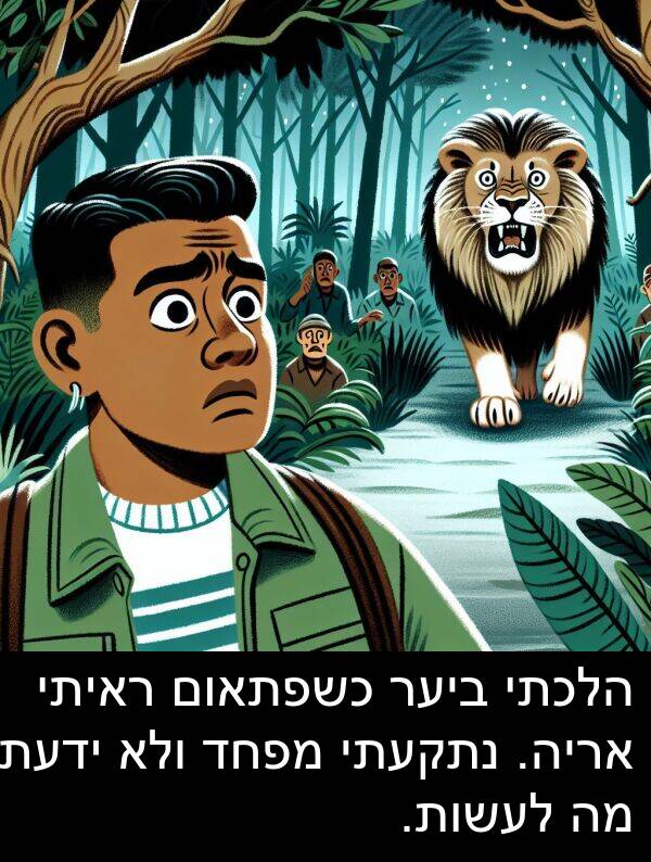 מפחד: הלכתי ביער כשפתאום ראיתי אריה. נתקעתי מפחד ולא ידעתי מה לעשות.