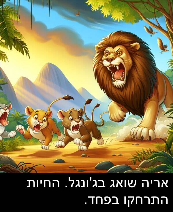 התרחקו: אריה שואג בג'ונגל. החיות התרחקו בפחד.