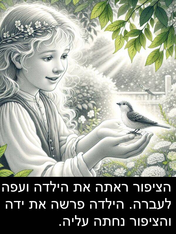 פרשה: הציפור ראתה את הילדה ועפה לעברה. הילדה פרשה את ידה והציפור נחתה עליה.