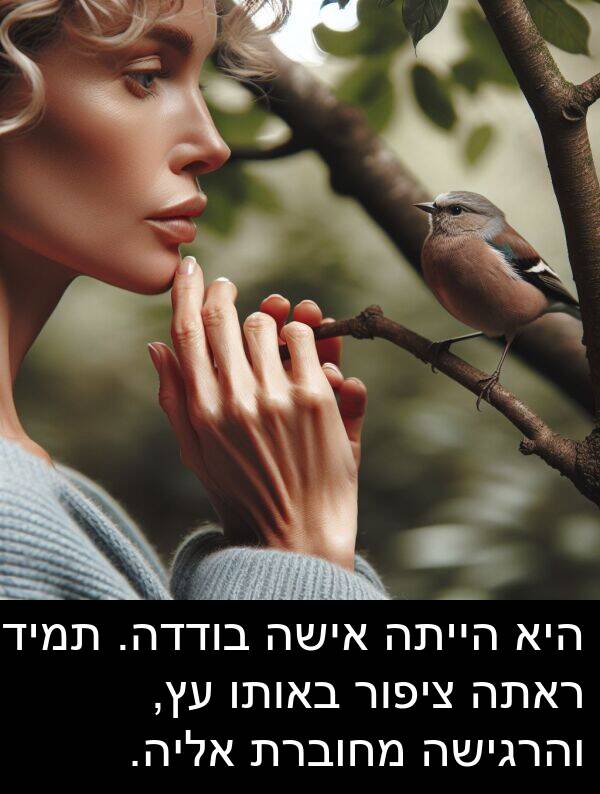 באותו: היא הייתה אישה בודדה. תמיד ראתה ציפור באותו עץ, והרגישה מחוברת אליה.