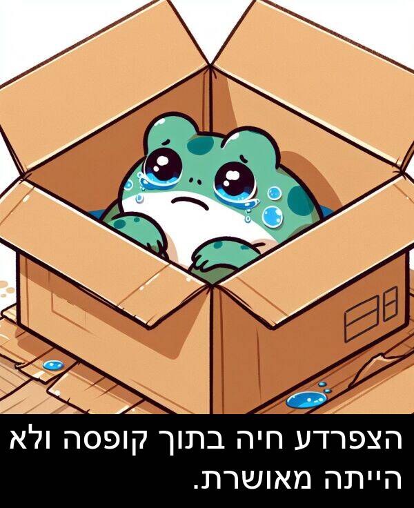 מאושרת: הצפרדע חיה בתוך קופסה ולא הייתה מאושרת.