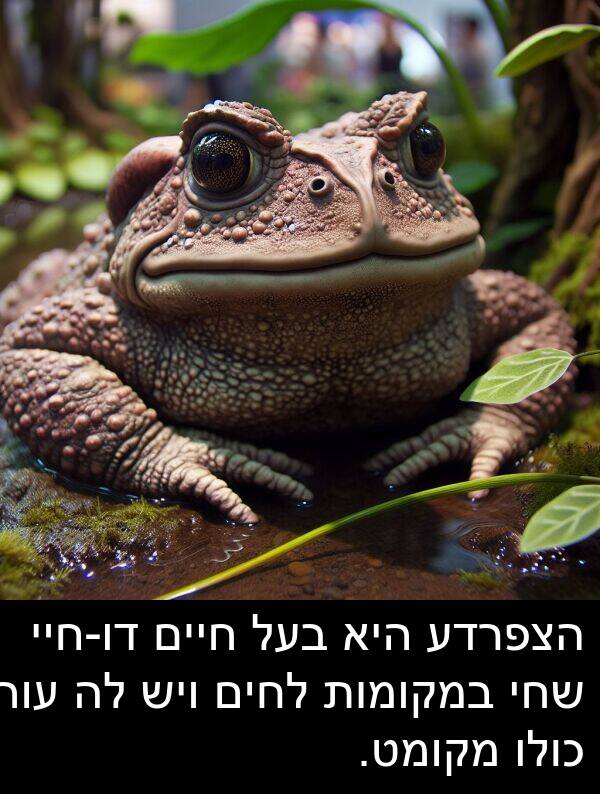 עור: הצפרדע היא בעל חיים דו-חיי שחי במקומות לחים ויש לה עור כולו מקומט.