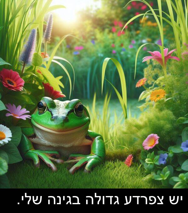 בגינה: יש צפרדע גדולה בגינה שלי.
