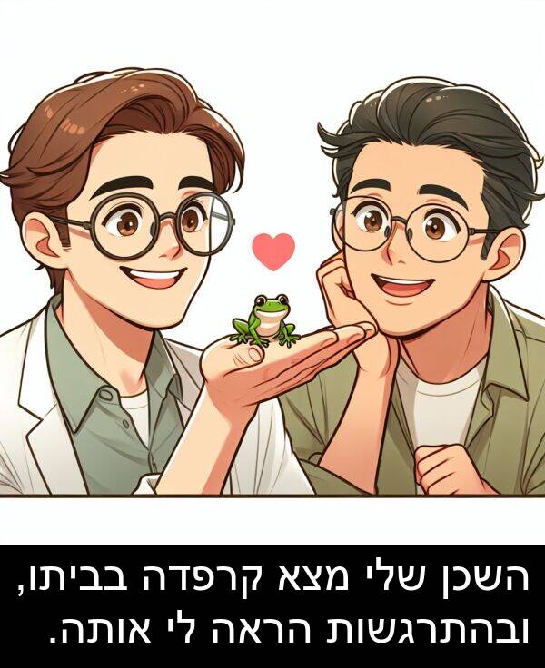 בביתו: השכן שלי מצא קרפדה בביתו, ובהתרגשות הראה לי אותה.