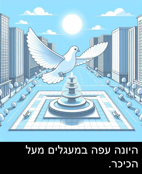 עפה: היונה עפה במעגלים מעל הכיכר.