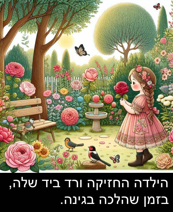 בגינה: הילדה החזיקה ורד ביד שלה, בזמן שהלכה בגינה.