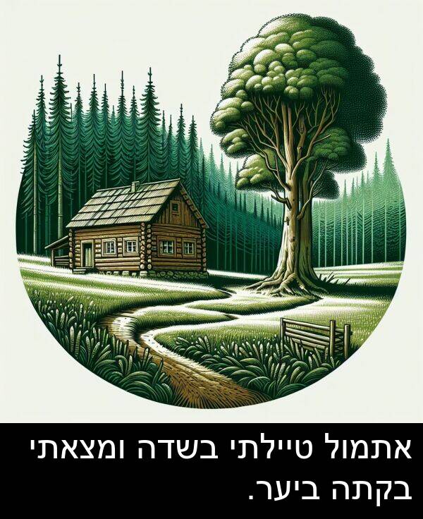 טיילתי: אתמול טיילתי בשדה ומצאתי בקתה ביער.