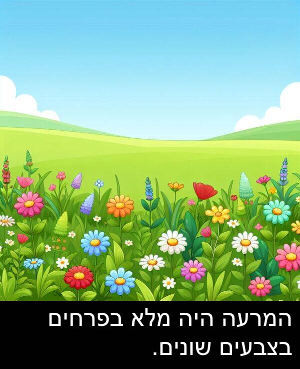 המרעה: המרעה היה מלא בפרחים בצבעים שונים.