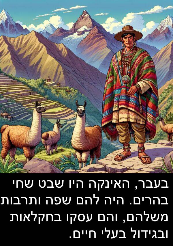 עסקו: בעבר, האינקה היו שבט שחי בהרים. היה להם שפה ותרבות משלהם, והם עסקו בחקלאות ובגידול בעלי חיים.