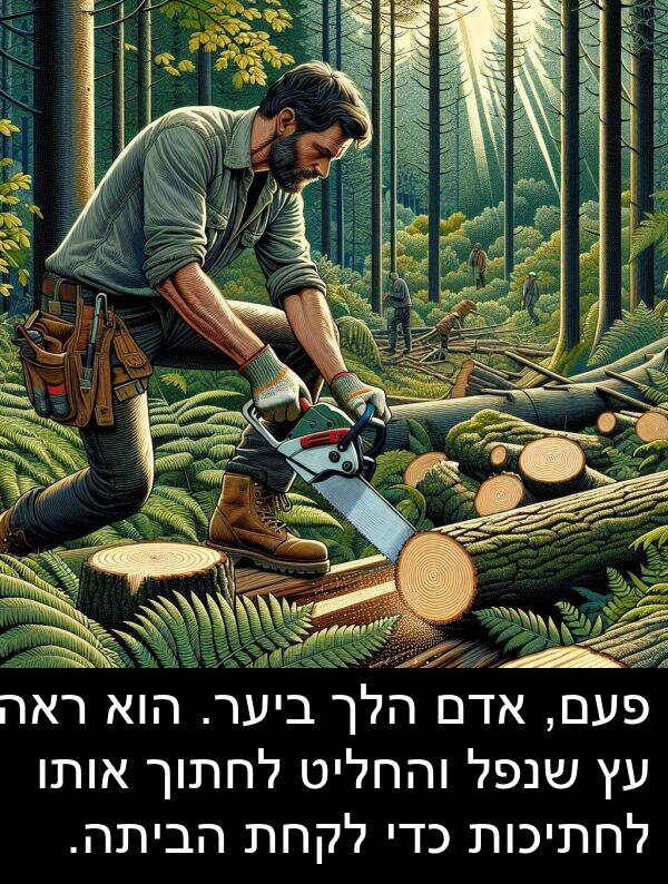 פעם: פעם, אדם הלך ביער. הוא ראה עץ שנפל והחליט לחתוך אותו לחתיכות כדי לקחת הביתה.