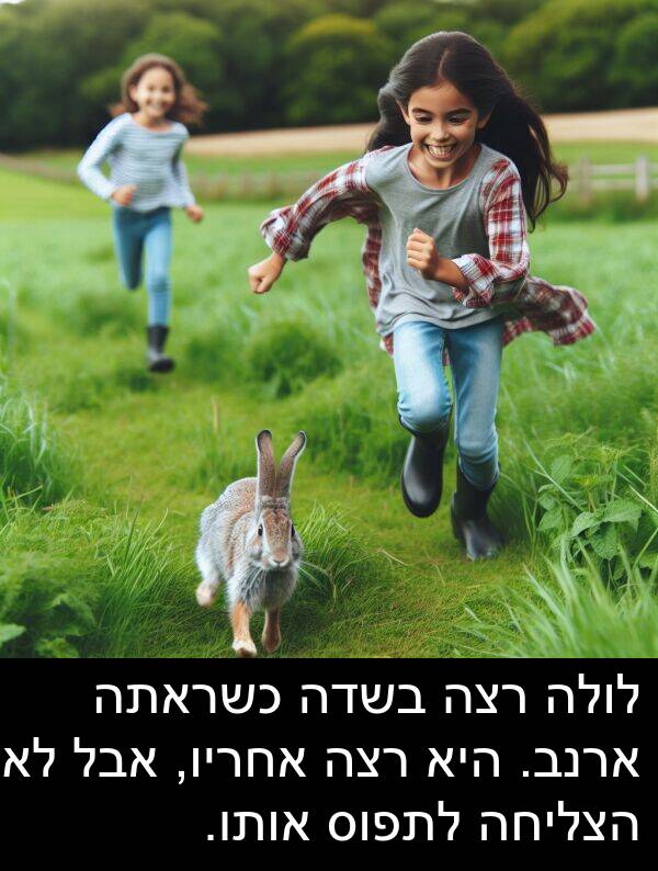 אחריו: לולה רצה בשדה כשראתה ארנב. היא רצה אחריו, אבל לא הצליחה לתפוס אותו.