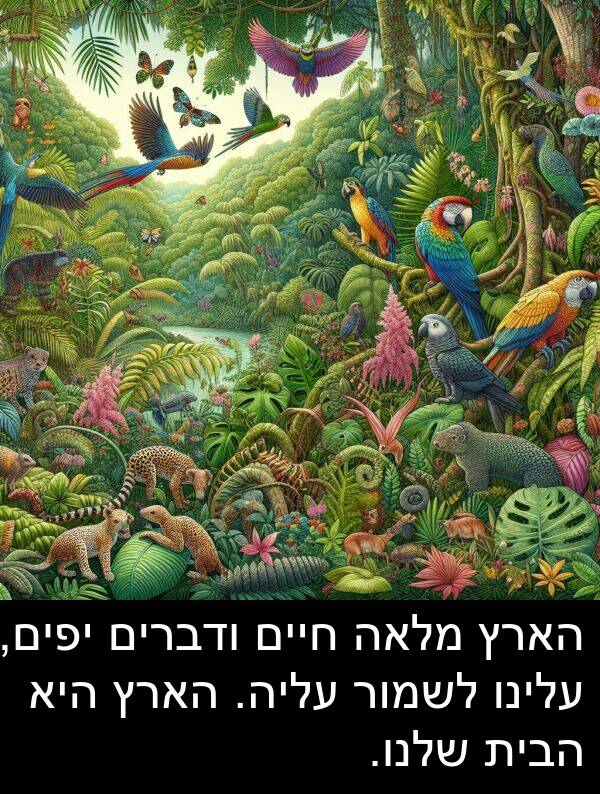 עלינו: הארץ מלאה חיים ודברים יפים, עלינו לשמור עליה. הארץ היא הבית שלנו.