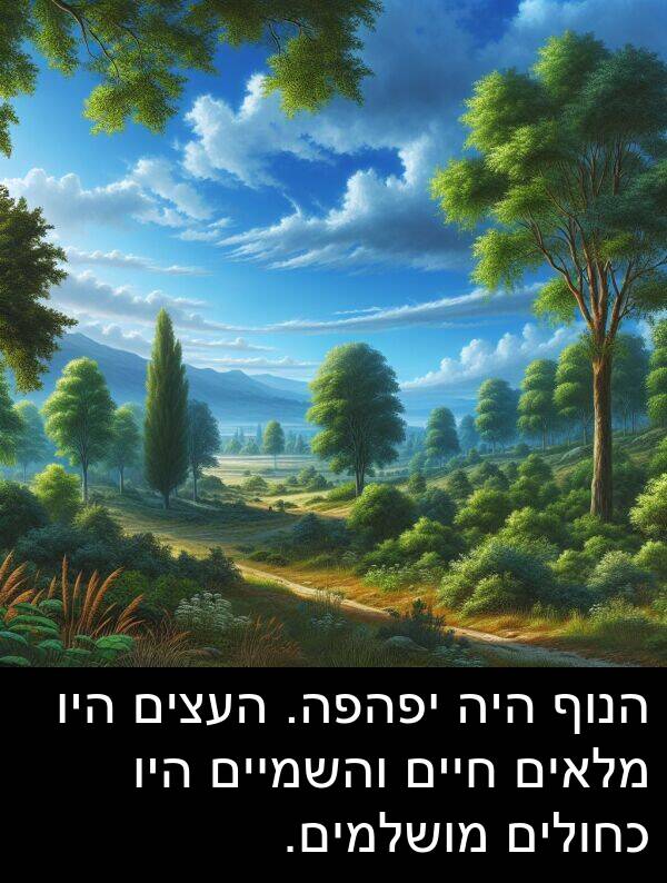 יפהפה: הנוף היה יפהפה. העצים היו מלאים חיים והשמיים היו כחולים מושלמים.