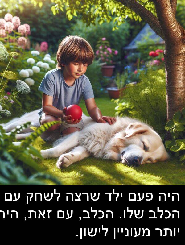 פעם: היה פעם ילד שרצה לשחק עם הכלב שלו. הכלב, עם זאת, היה יותר מעוניין לישון.