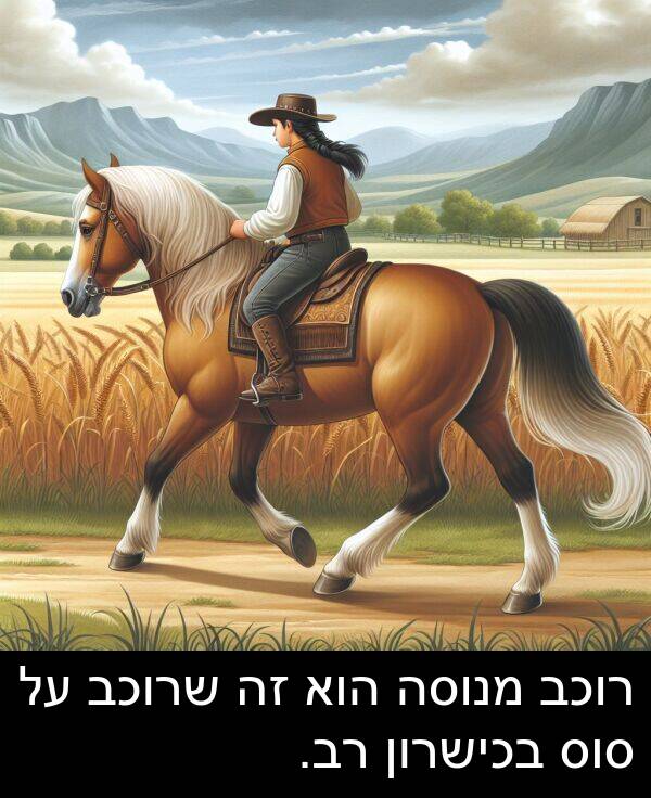 שרוכב: רוכב מנוסה הוא זה שרוכב על סוס בכישרון רב.