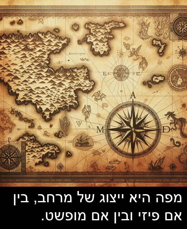 פיזי: מפה היא ייצוג של מרחב, בין אם פיזי ובין אם מופשט.