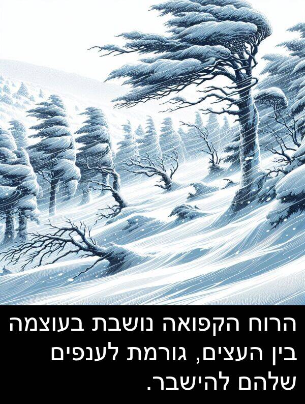 נושבת: הרוח הקפואה נושבת בעוצמה בין העצים, גורמת לענפים שלהם להישבר.