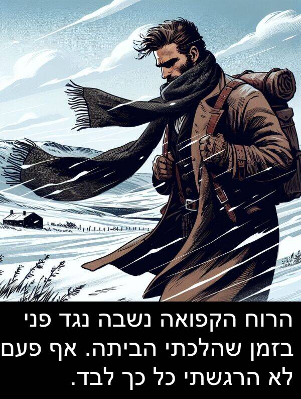 פני: הרוח הקפואה נשבה נגד פני בזמן שהלכתי הביתה. אף פעם לא הרגשתי כל כך לבד.