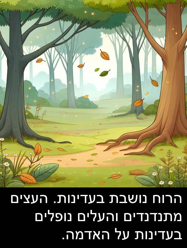 נושבת: הרוח נושבת בעדינות. העצים מתנדנדים והעלים נופלים בעדינות על האדמה.