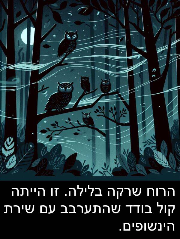 קול: הרוח שרקה בלילה. זו הייתה קול בודד שהתערבב עם שירת הינשופים.