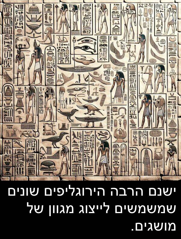 ישנם: ישנם הרבה הירוגליפים שונים שמשמשים לייצוג מגוון של מושגים.