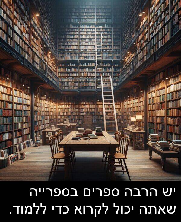 שאתה: יש הרבה ספרים בספרייה שאתה יכול לקרוא כדי ללמוד.