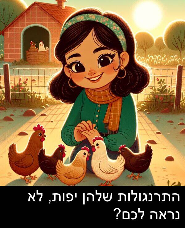 יפות: התרנגולות שלהן יפות, לא נראה לכם?