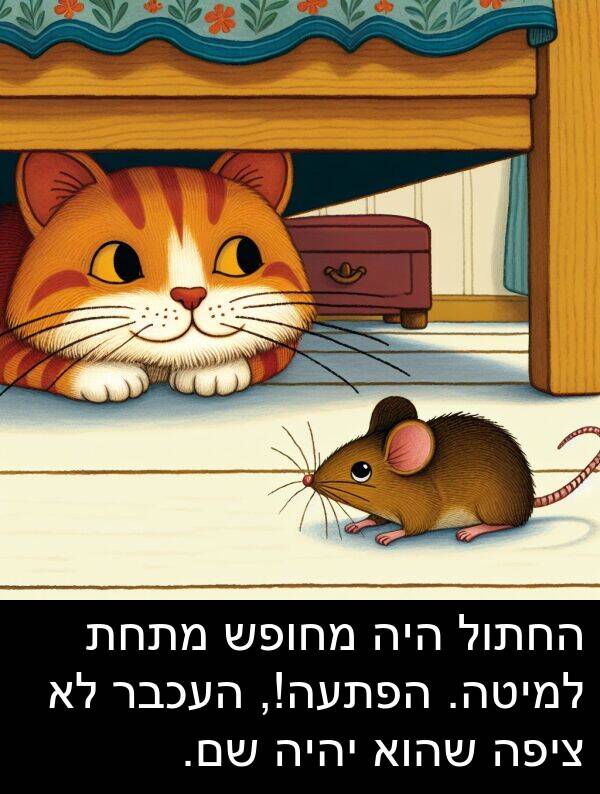 ציפה: החתול היה מחופש מתחת למיטה. הפתעה!, העכבר לא ציפה שהוא יהיה שם.