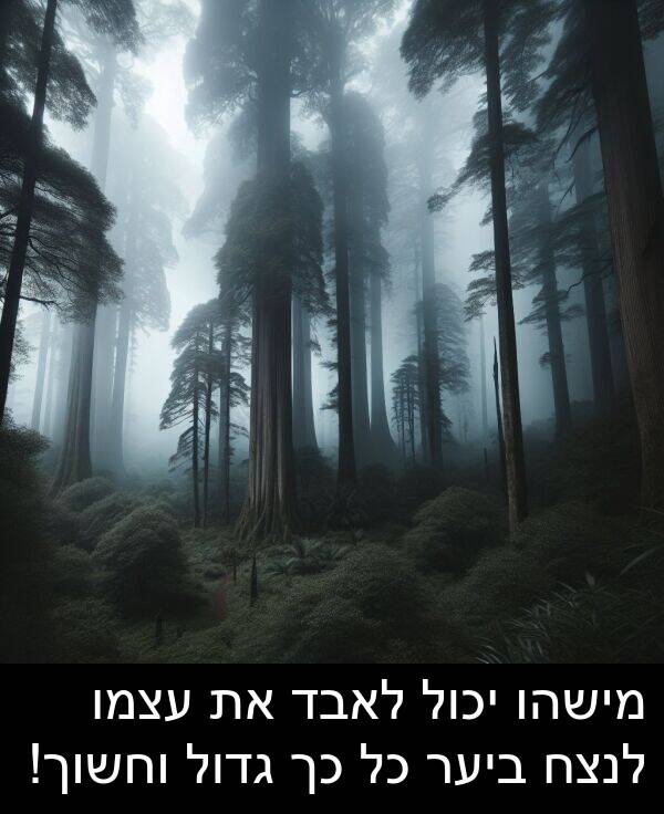 עצמו: מישהו יכול לאבד את עצמו לנצח ביער כל כך גדול וחשוך!