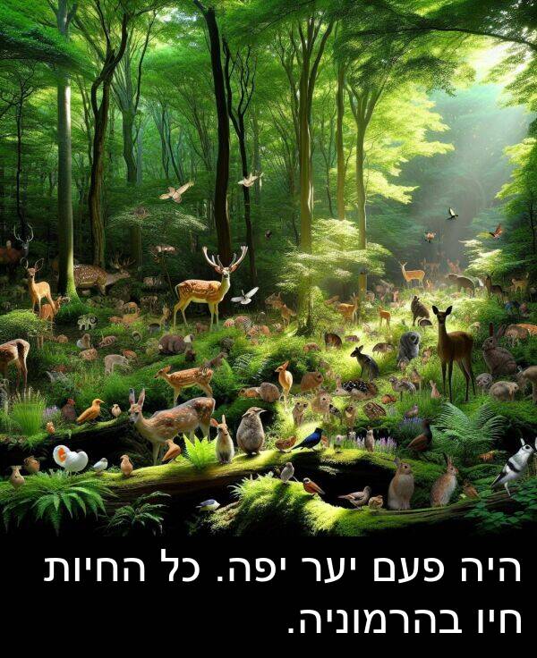 פעם: היה פעם יער יפה. כל החיות חיו בהרמוניה.