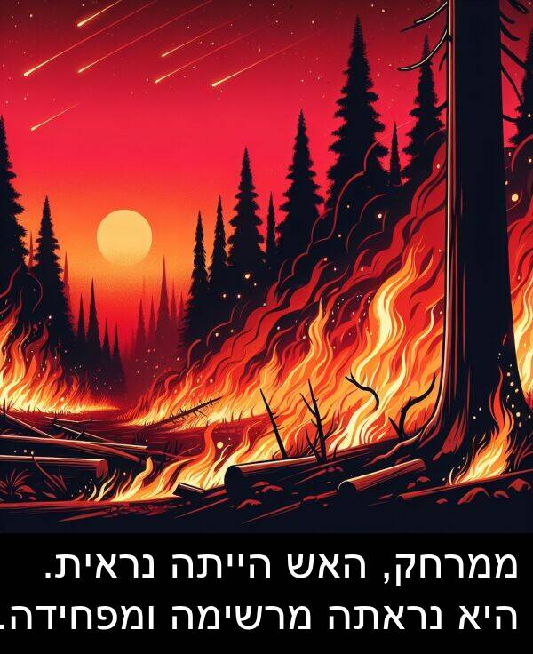 מרשימה: ממרחק, האש הייתה נראית. היא נראתה מרשימה ומפחידה.