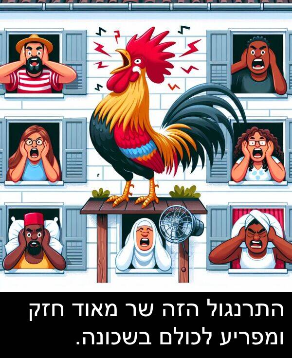 ומפריע: התרנגול הזה שר מאוד חזק ומפריע לכולם בשכונה.