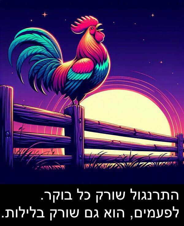 בלילות: התרנגול שורק כל בוקר. לפעמים, הוא גם שורק בלילות.