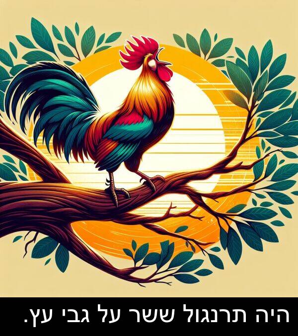 גבי: היה תרנגול ששר על גבי עץ.