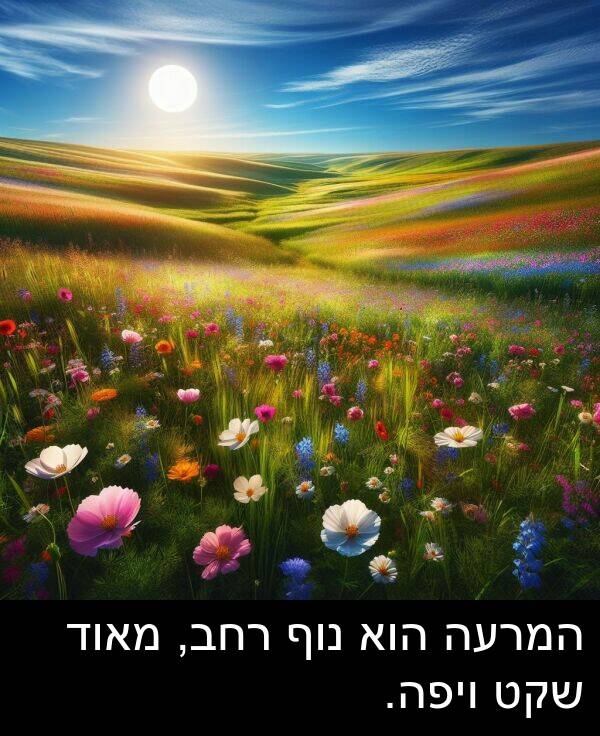 נוף: המרעה הוא נוף רחב, מאוד שקט ויפה.