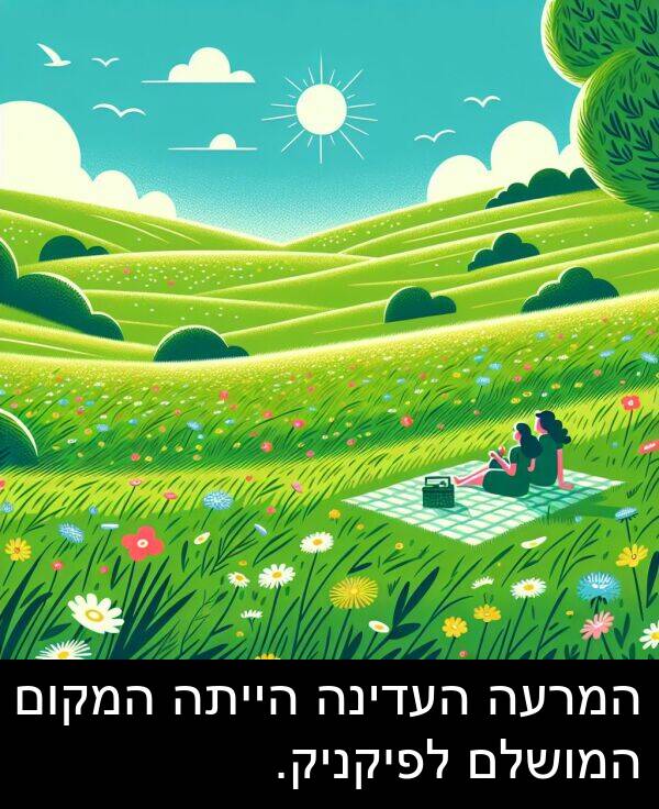 המרעה: המרעה העדינה הייתה המקום המושלם לפיקניק.