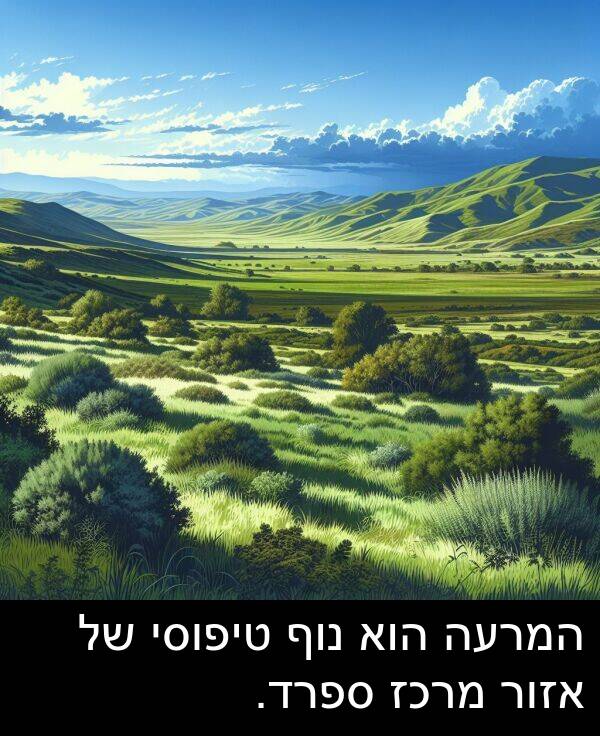 טיפוסי: המרעה הוא נוף טיפוסי של אזור מרכז ספרד.