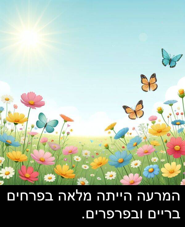 ובפרפרים: המרעה הייתה מלאה בפרחים בריים ובפרפרים.