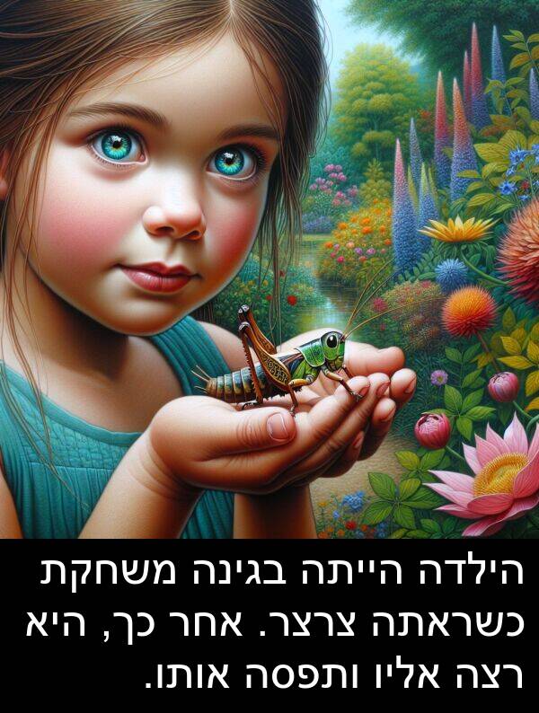 בגינה: הילדה הייתה בגינה משחקת כשראתה צרצר. אחר כך, היא רצה אליו ותפסה אותו.