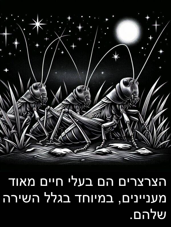 בגלל: הצרצרים הם בעלי חיים מאוד מעניינים, במיוחד בגלל השירה שלהם.