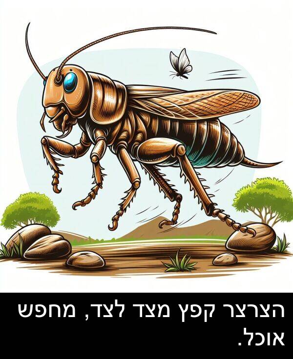 קפץ: הצרצר קפץ מצד לצד, מחפש אוכל.